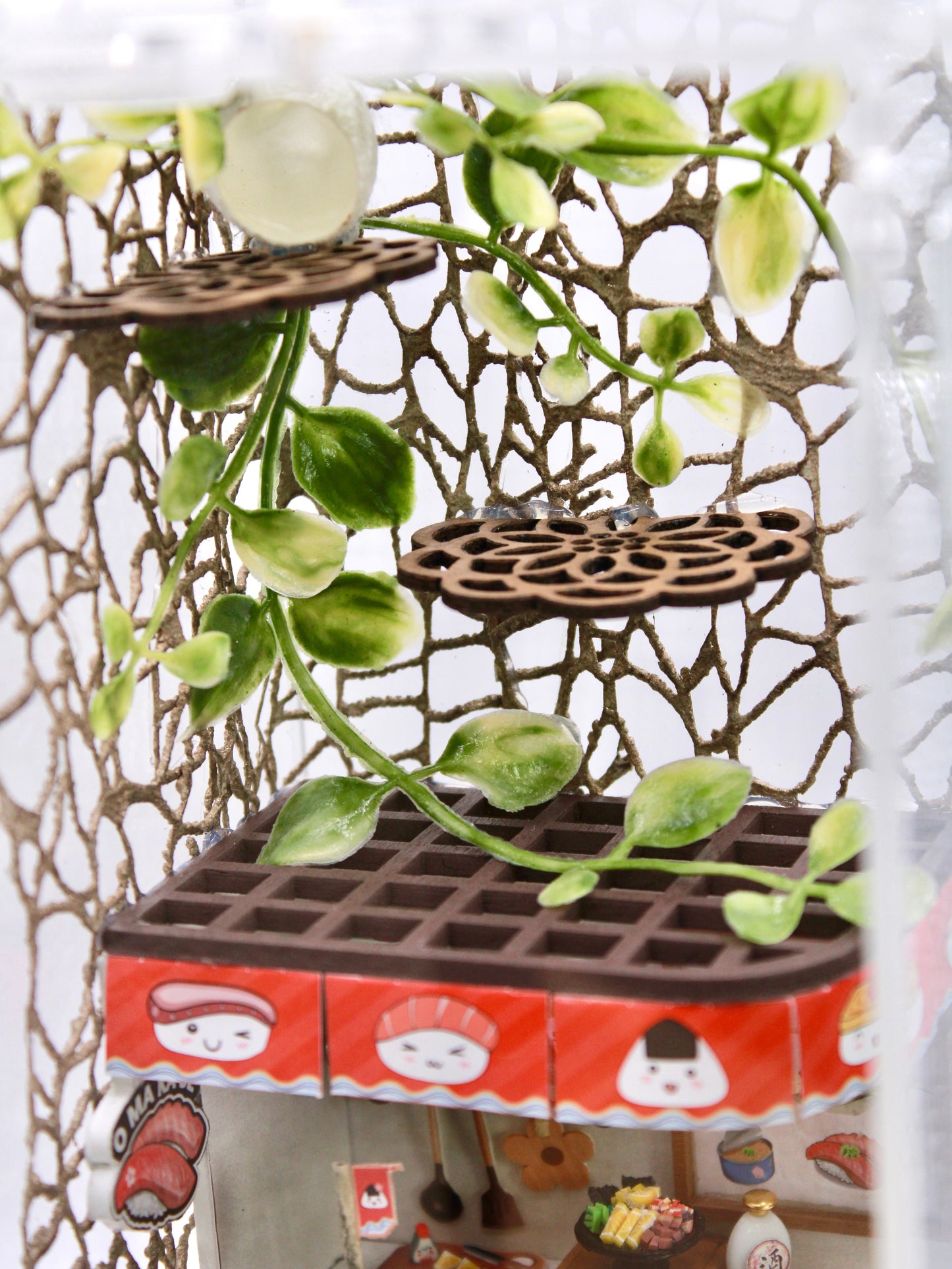 The Sushi Spot Spooder Enclosure