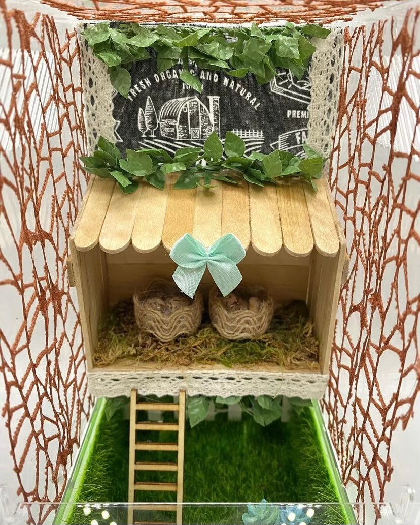 Chicken Coop Spooder Enclosure