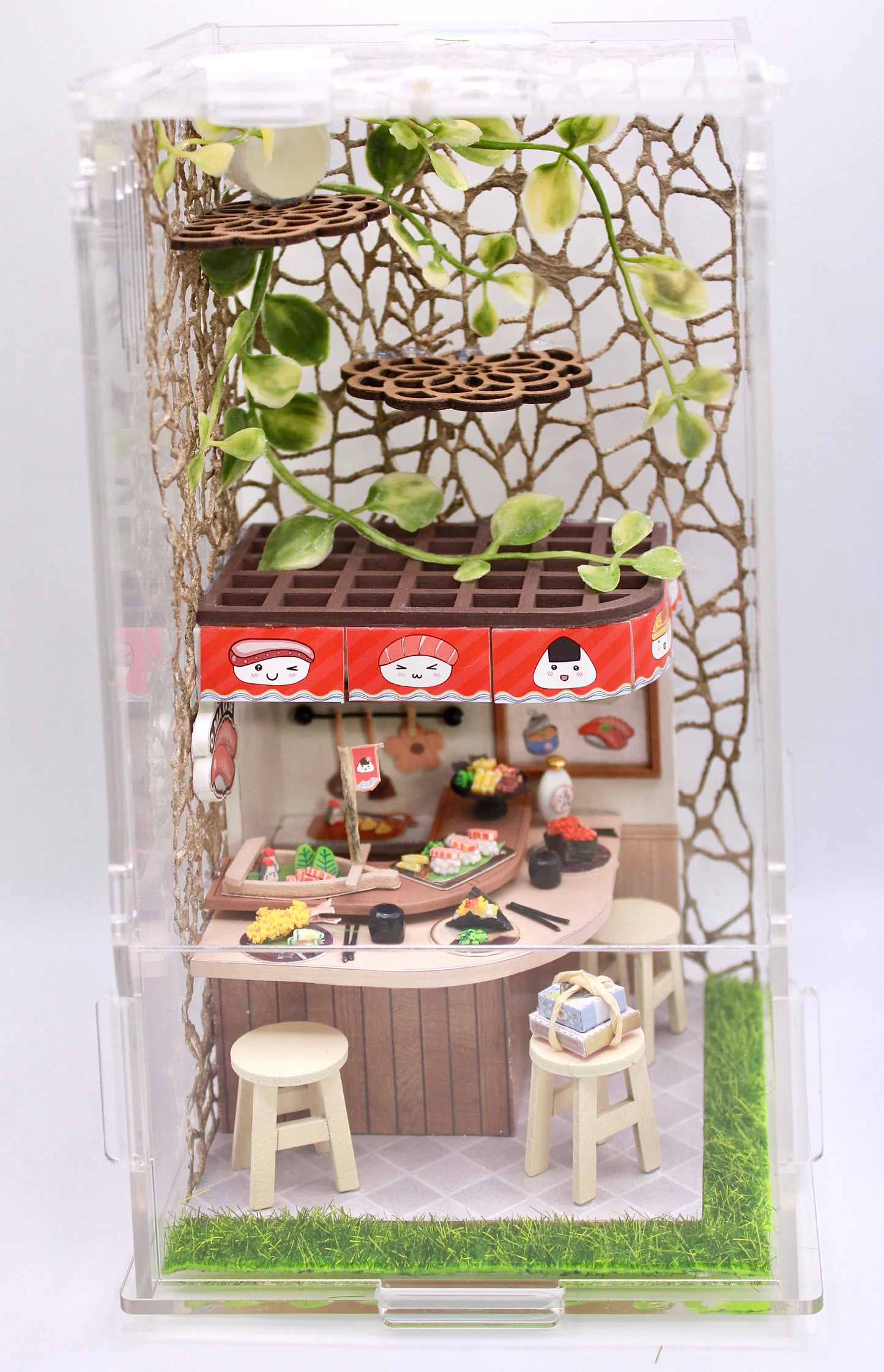 The Sushi Spot Spooder Enclosure