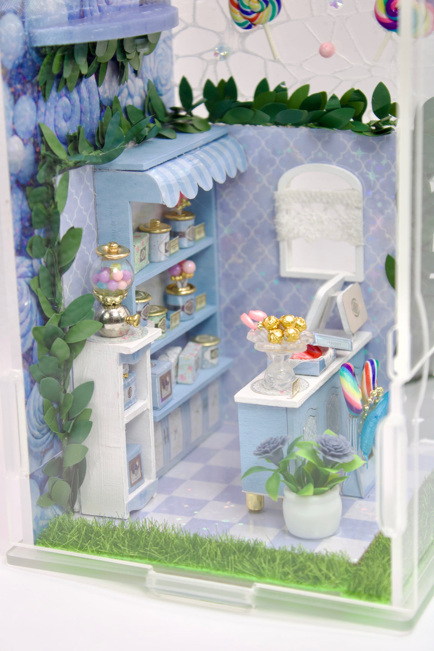 Candy Shop Spooder Enclosure
