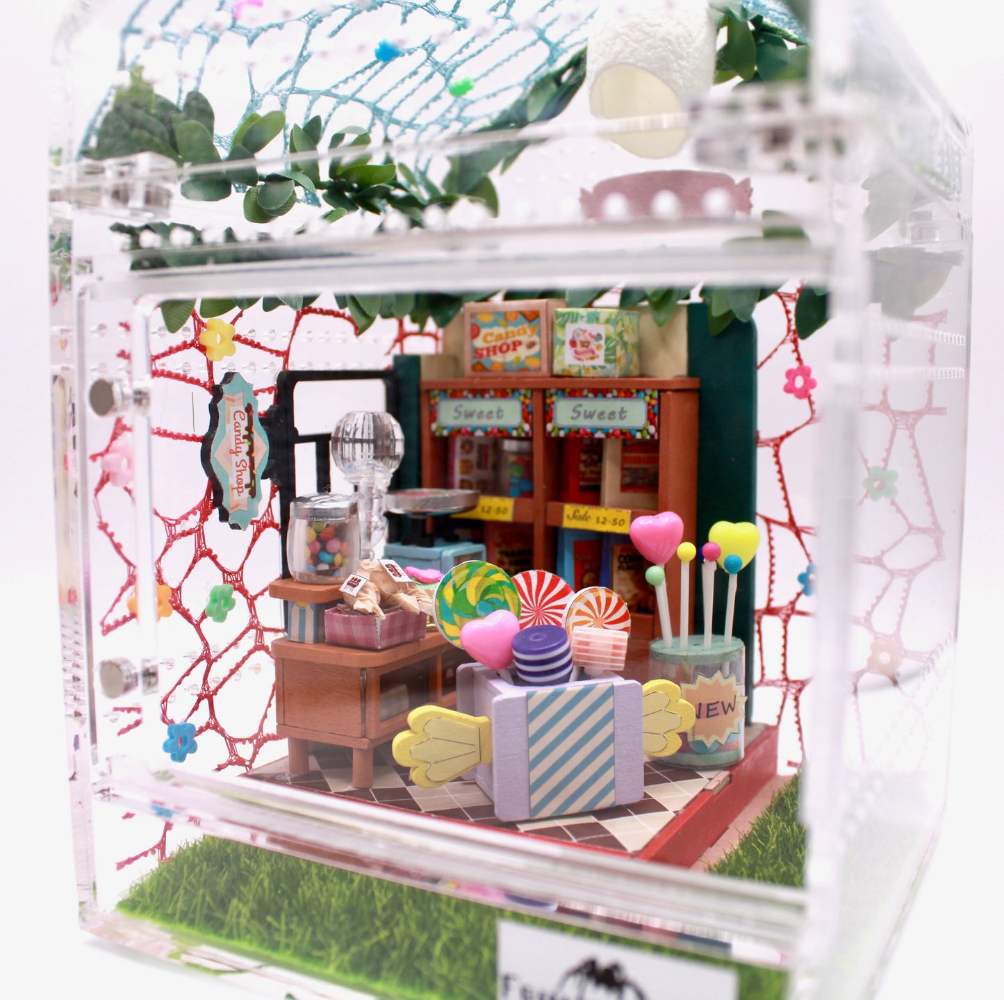 Candy Shop Spooder Enclosure