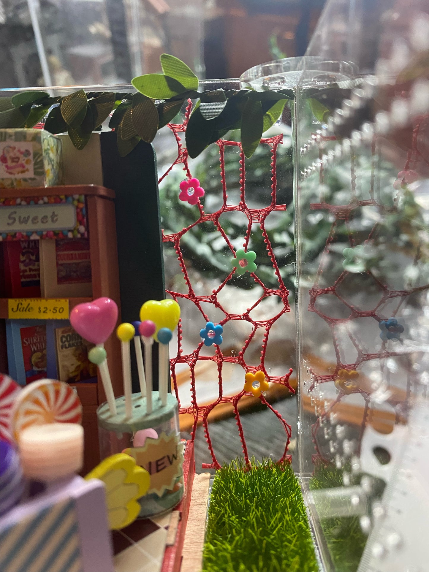 Candy Shop Spooder Enclosure