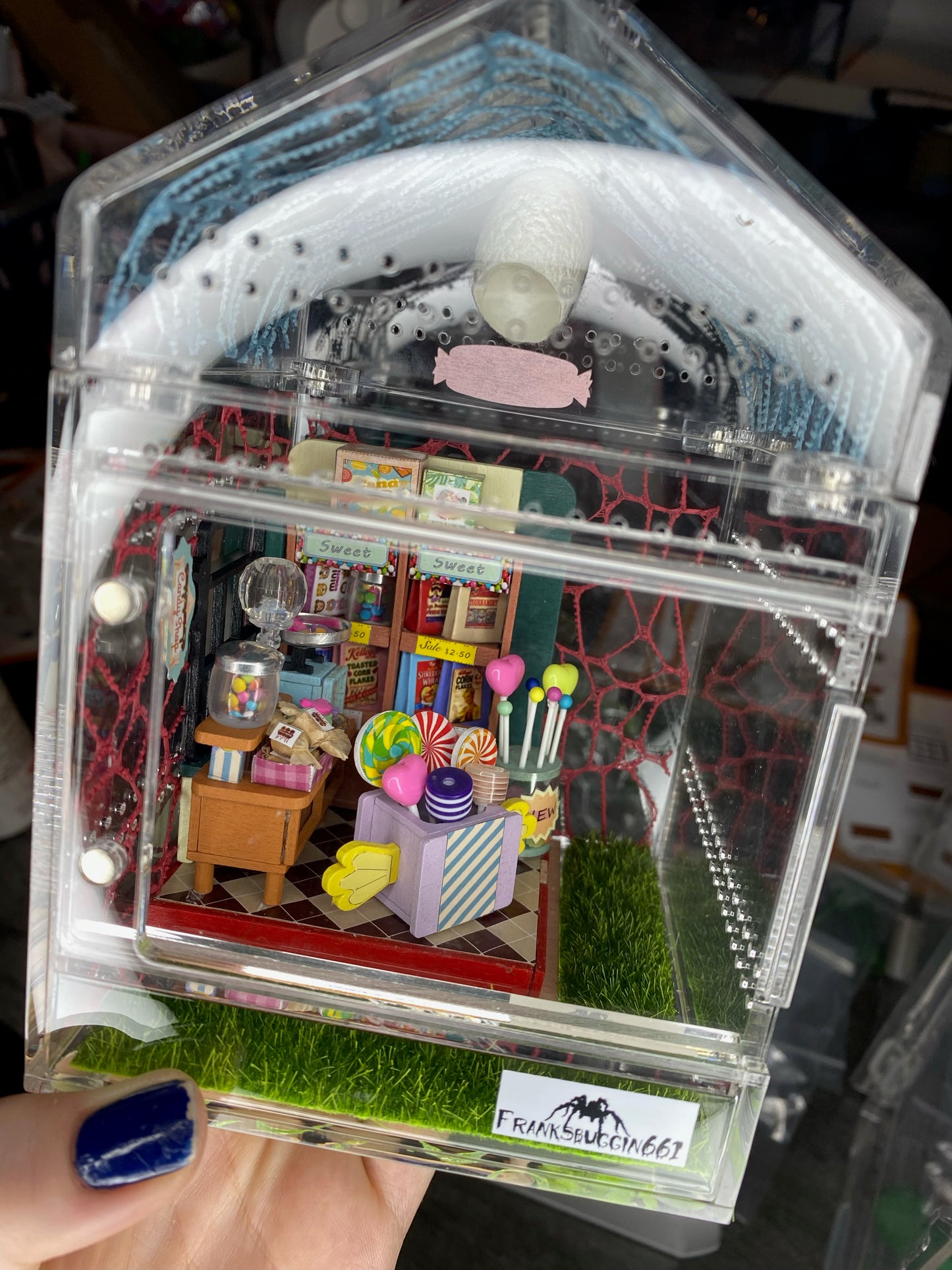 Candy Shop Spooder Enclosure